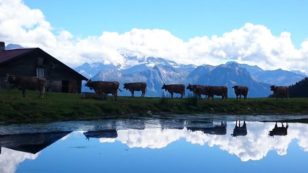 Chalet Enzian Riederalp Exterior foto