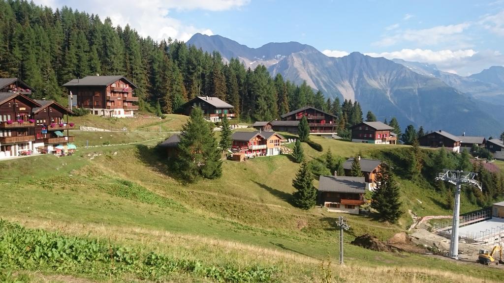 Chalet Enzian Riederalp Exterior foto